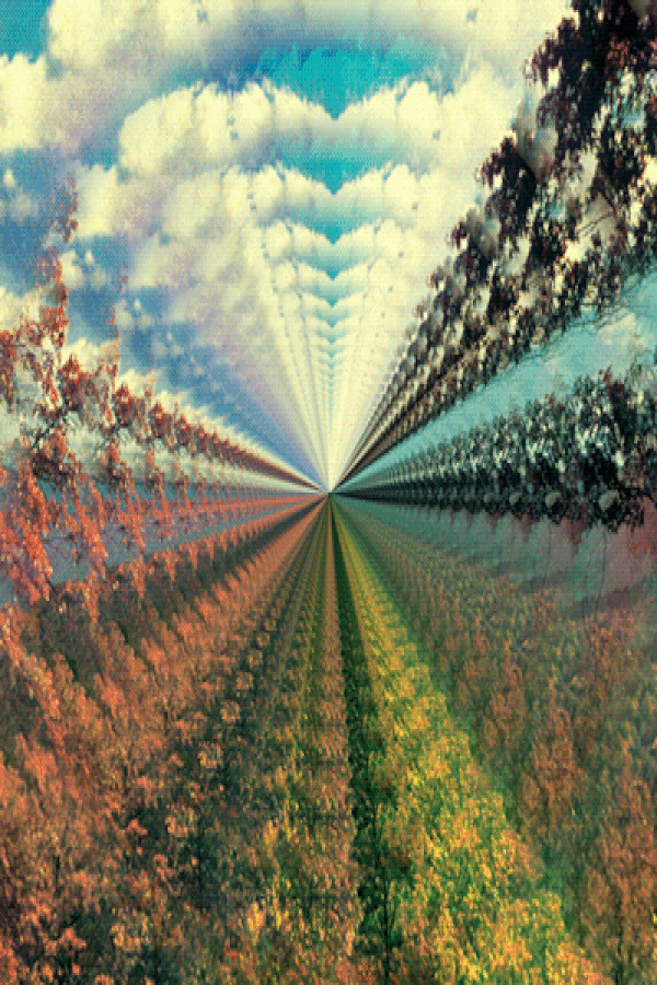 Tame Impala